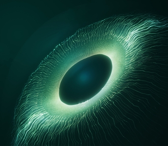 芯迈的研发力插图7