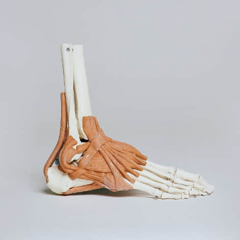 F2 足底压力检测仪插图16