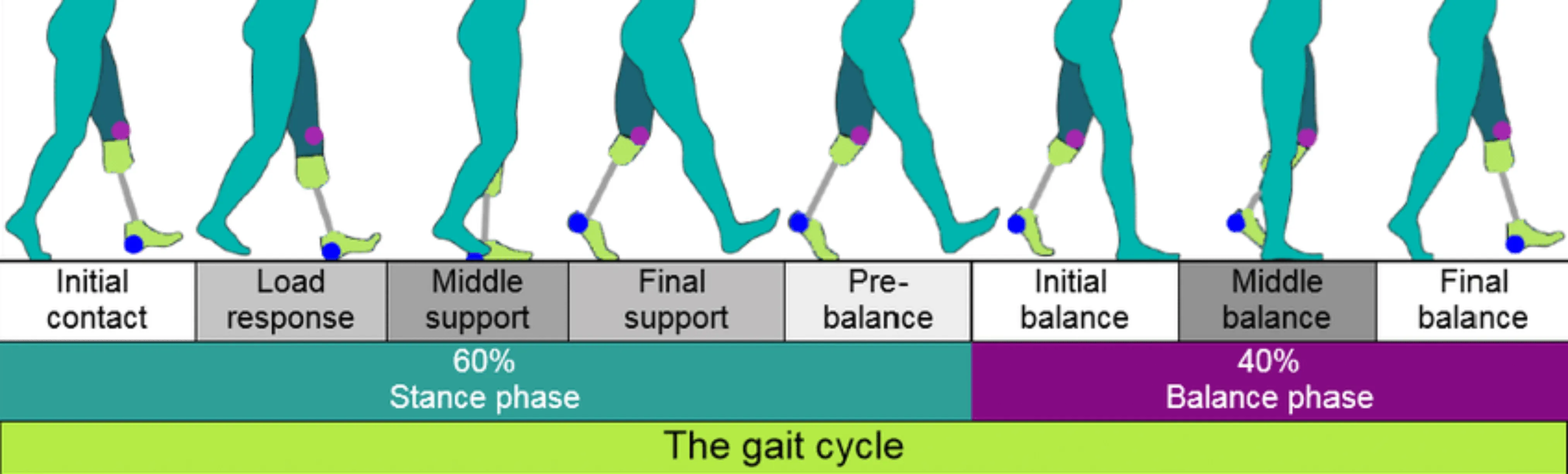 Prosthetic gait analysis