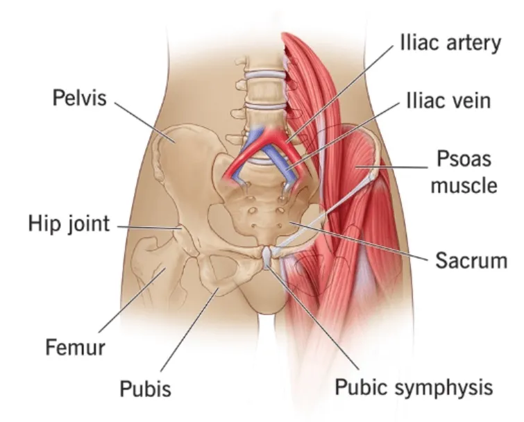 Hip Pain