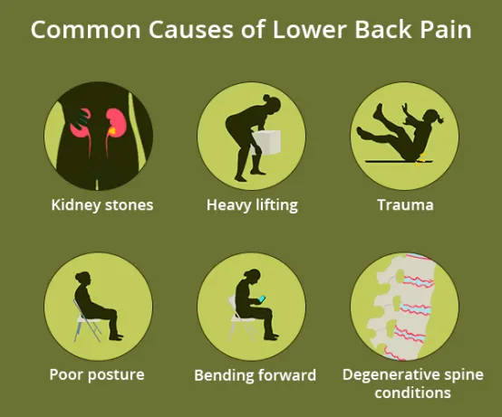 Lower back pain causes